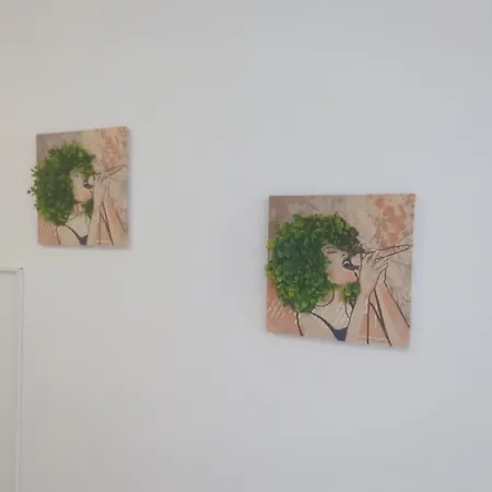 Fregata 16 * סבטי ולאס